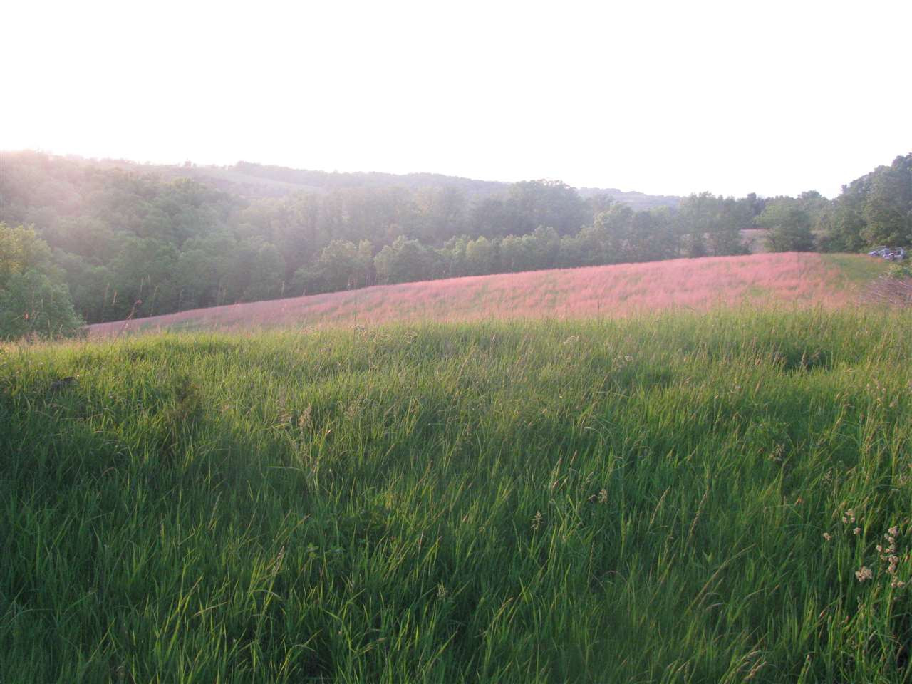 329 Robertson Road Williamstown, KY 41097 - Photo 17 of 18 Gallery Image 17