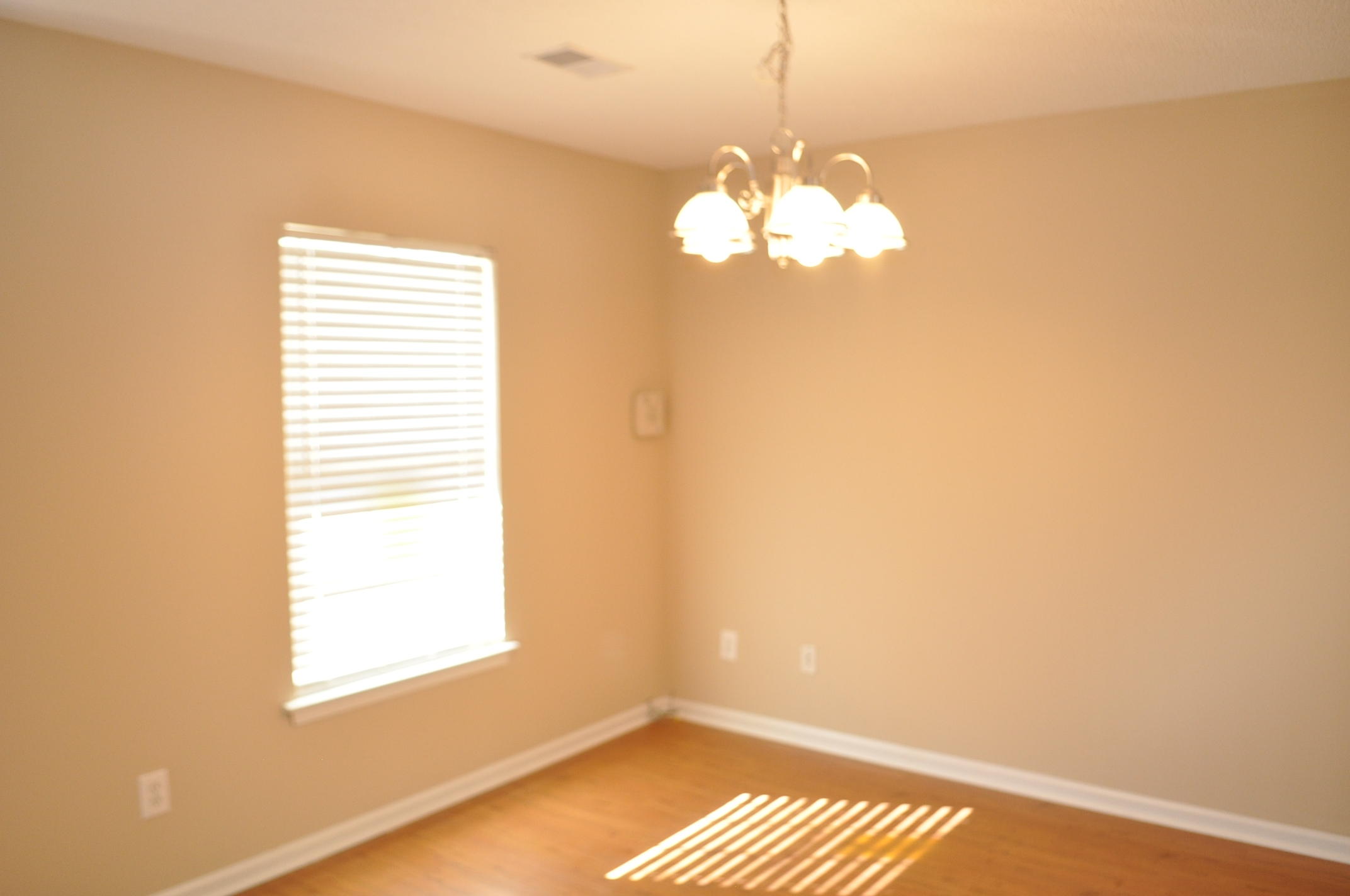 228 Eagle Ridge Road Summerville, SC 29485 - Photo 7 of 13 DSC_0006