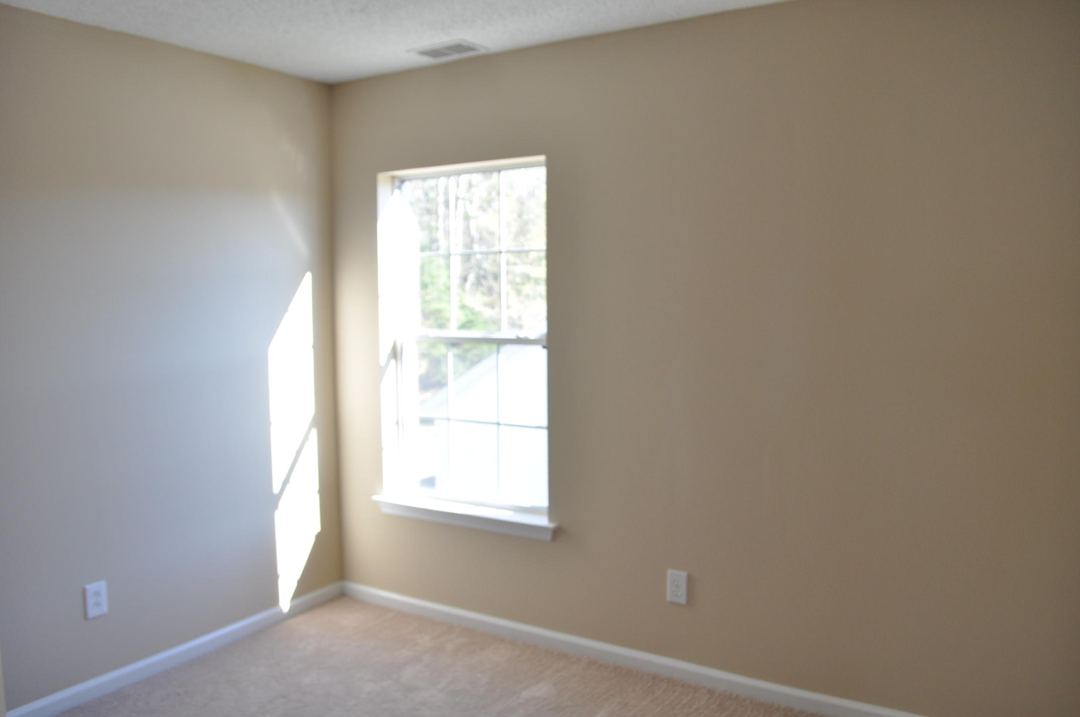 228 Eagle Ridge Road Summerville, SC 29485 - Photo 10 of 13 DSC_0014