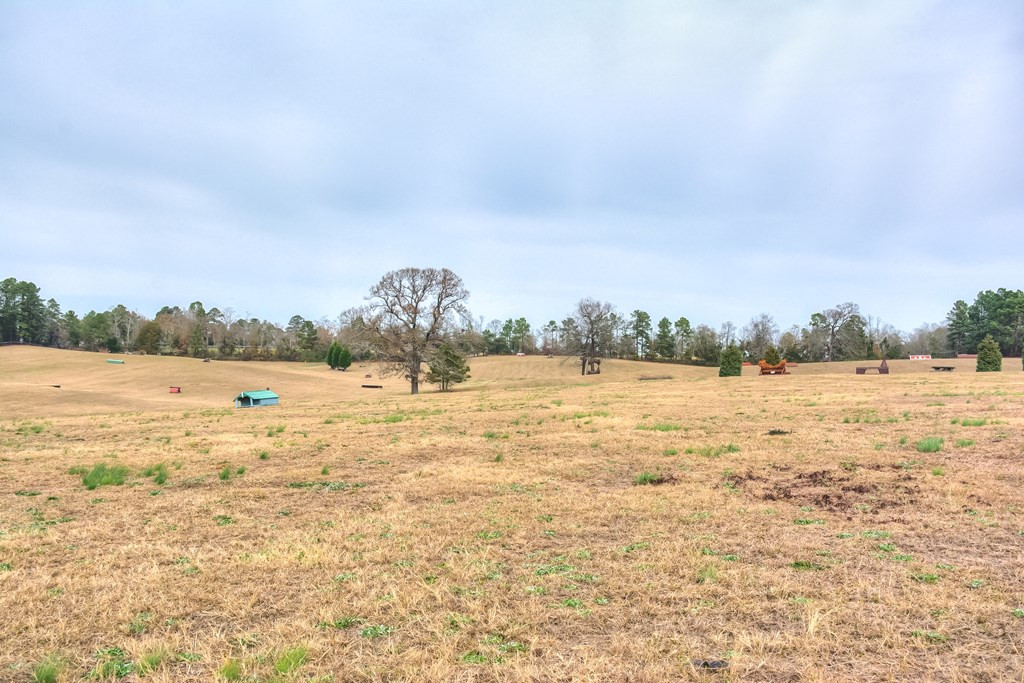 4069 Wagener Road Aiken, SC 29805 - Photo 31 of 33 a view of a lake view