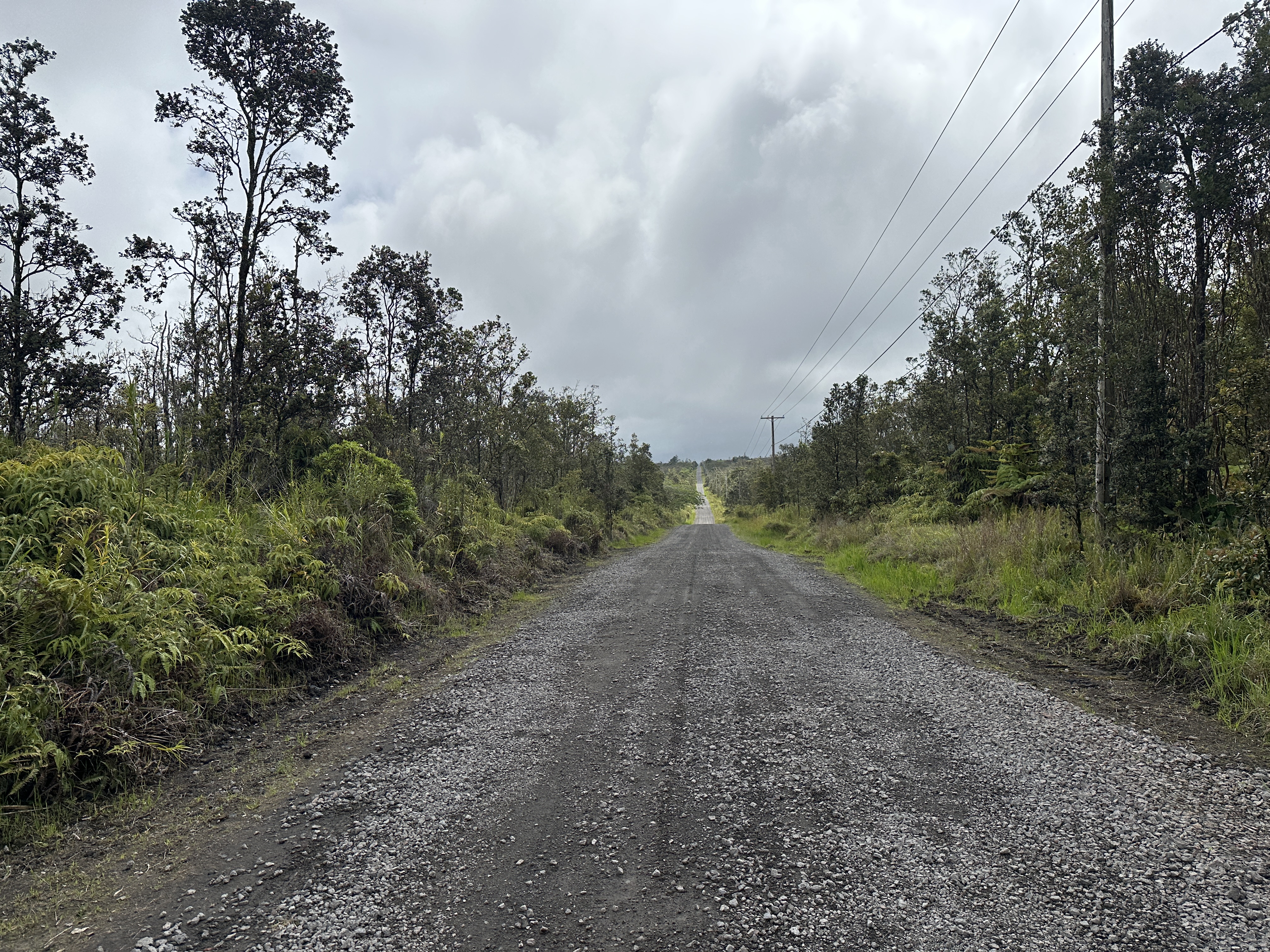 45 Kaleponi Road Mountain View, HI 96771 - Photo 3 of 3 a view of a dirt road with trees in the background