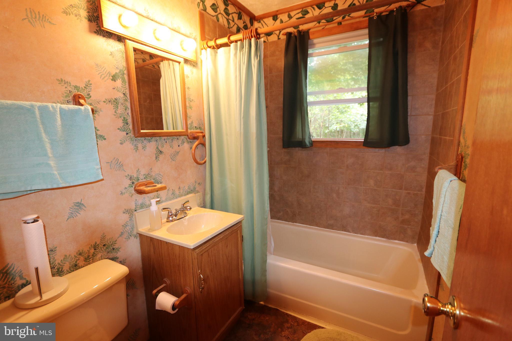 11078 Central Avenue Ridgely, MD 21660 - Photo 19 of 48 bath