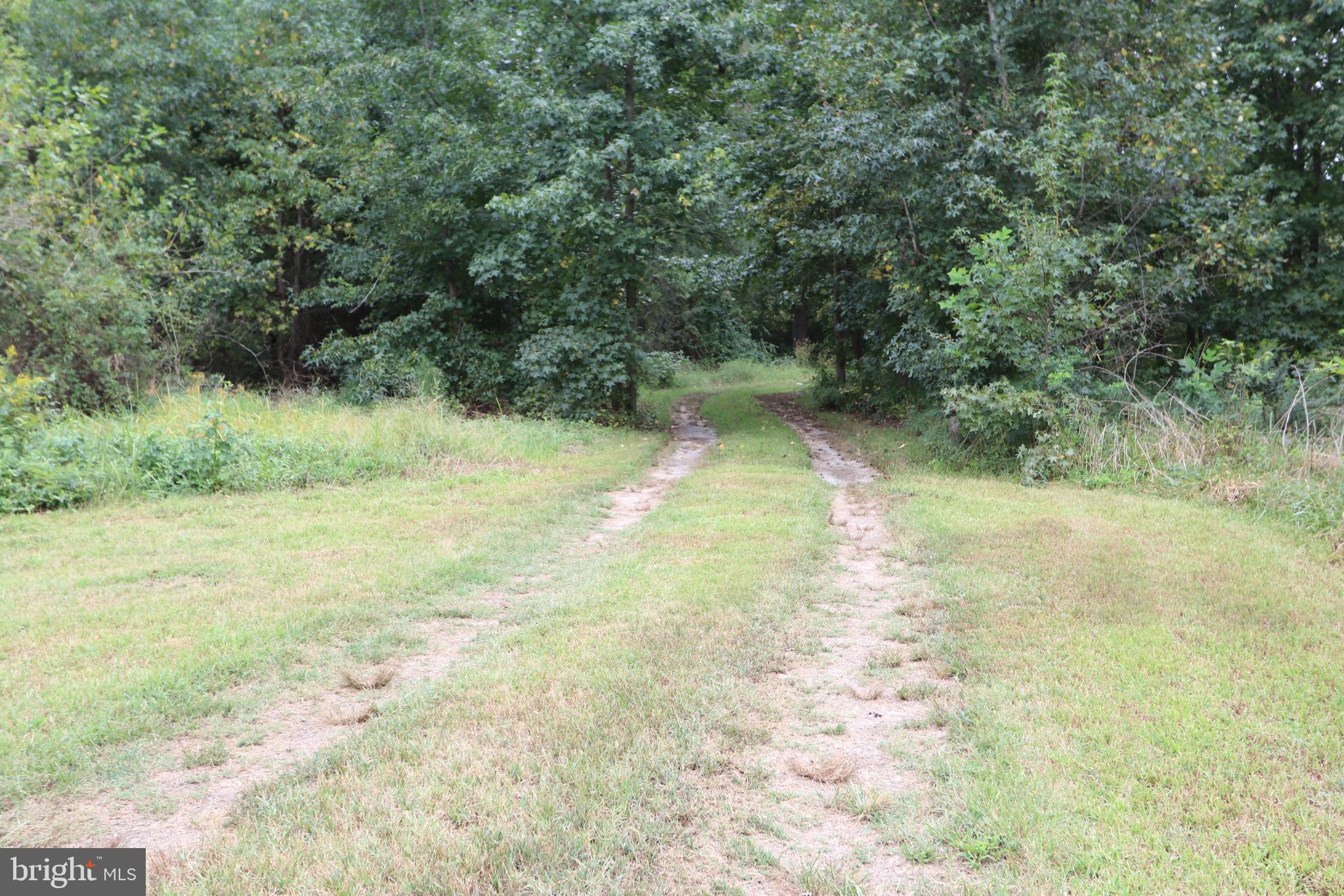 11078 Central Avenue Ridgely, MD 21660 - Photo 28 of 48 NO NEIGHBORS