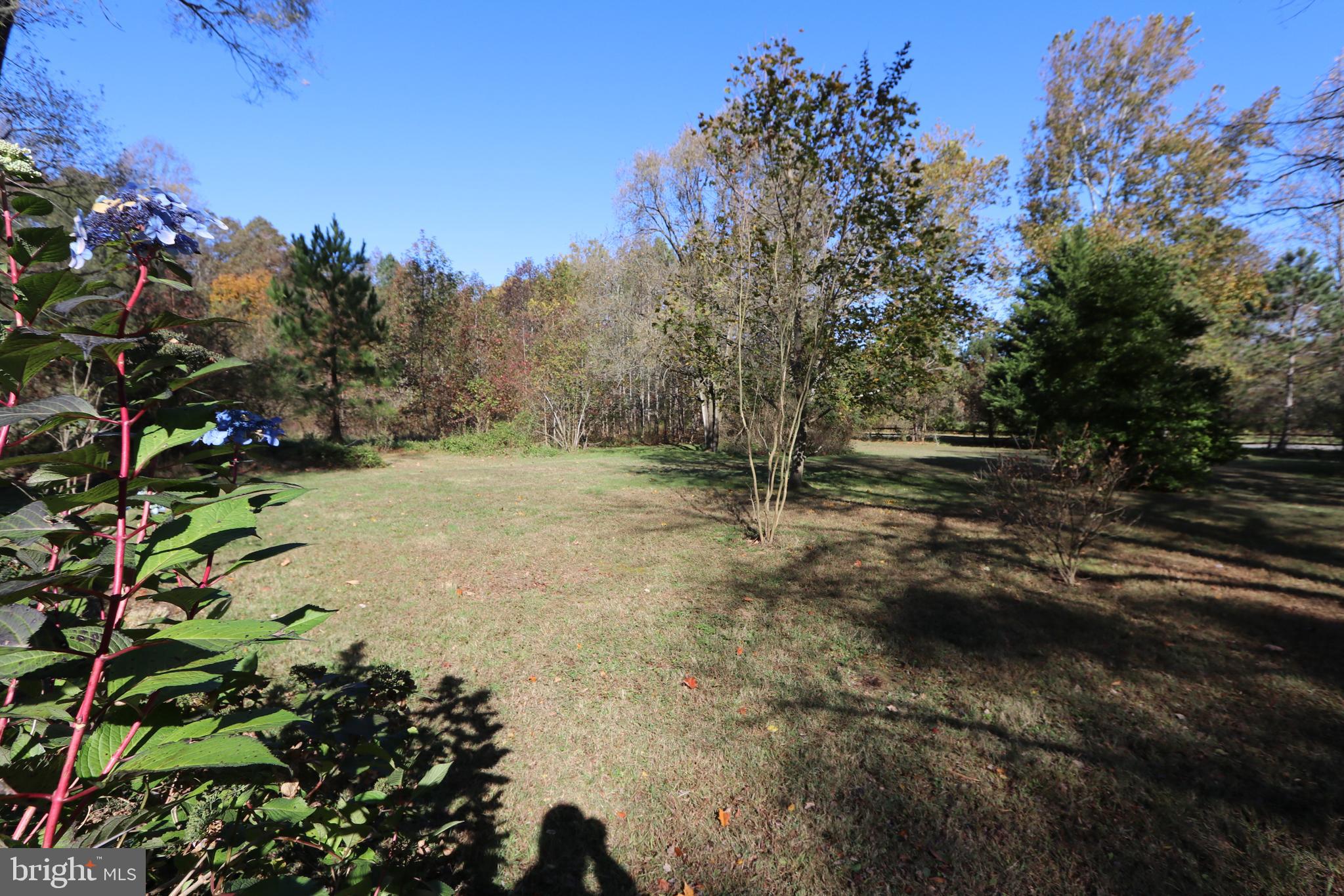 11078 Central Avenue Ridgely, MD 21660 - Photo 31 of 48 Gallery Image 31
