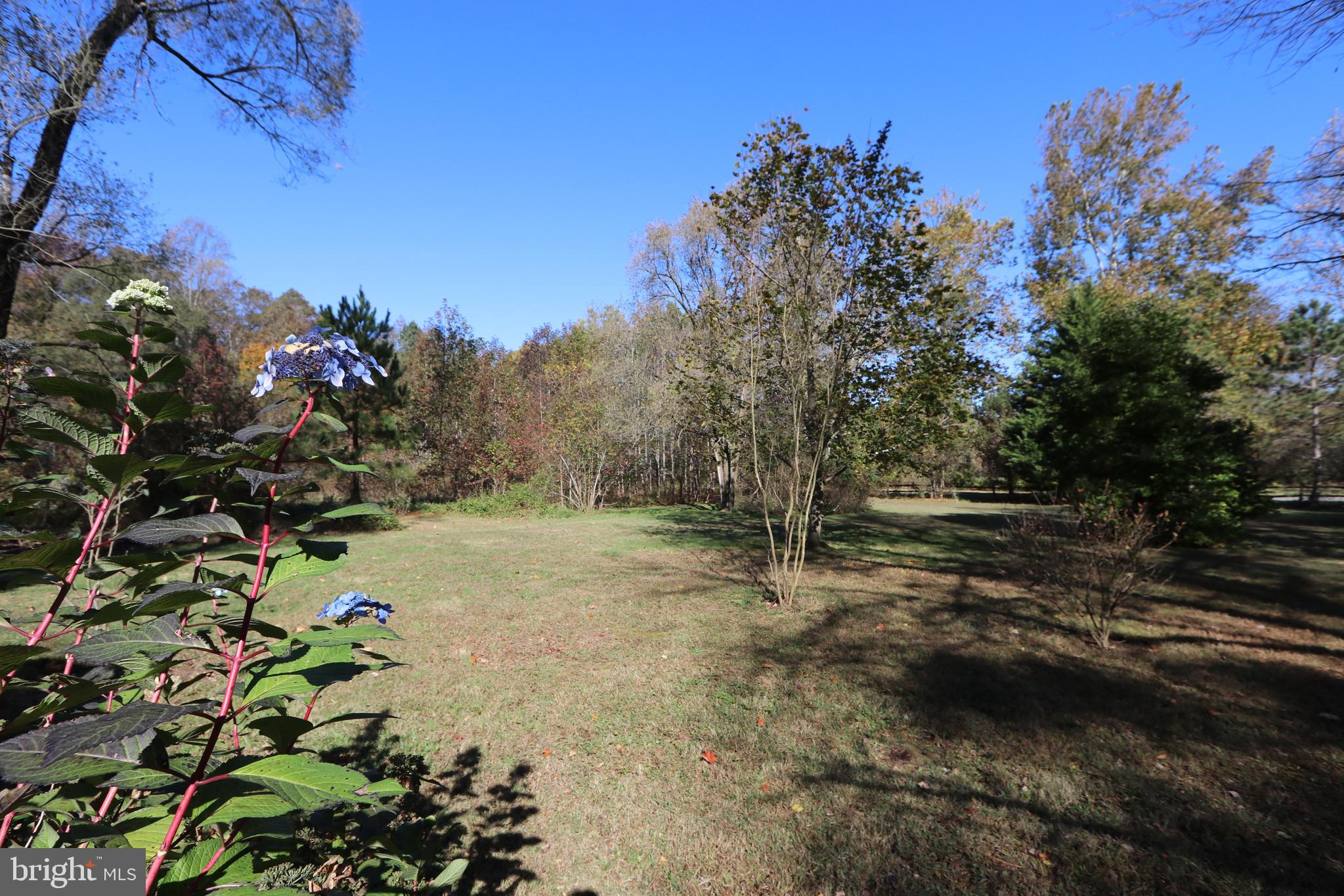 11078 Central Avenue Ridgely, MD 21660 - Photo 32 of 48 Gallery Image 32