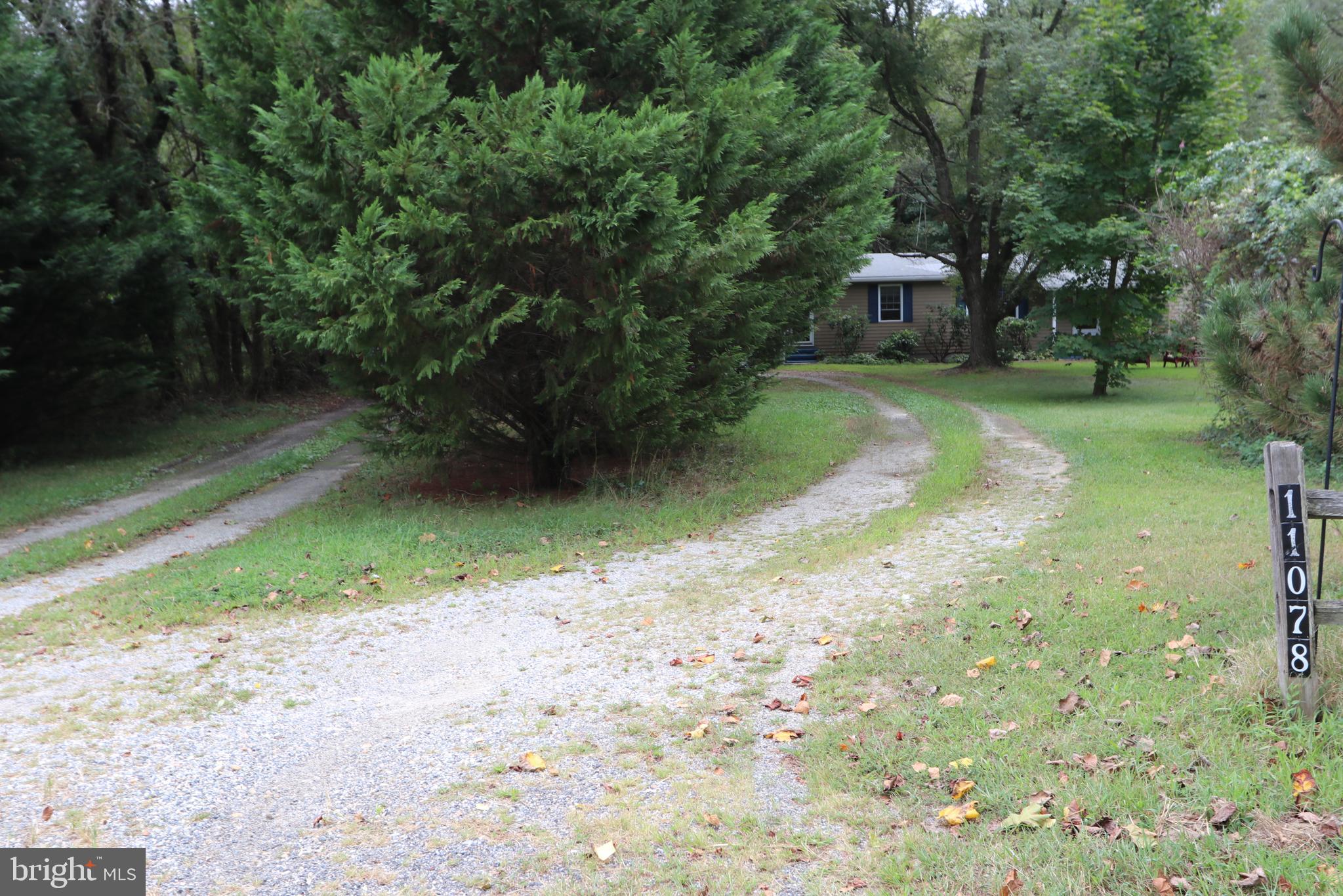 11078 Central Avenue Ridgely, MD 21660 - Photo 7 of 48 circular driveway with plenty of parking