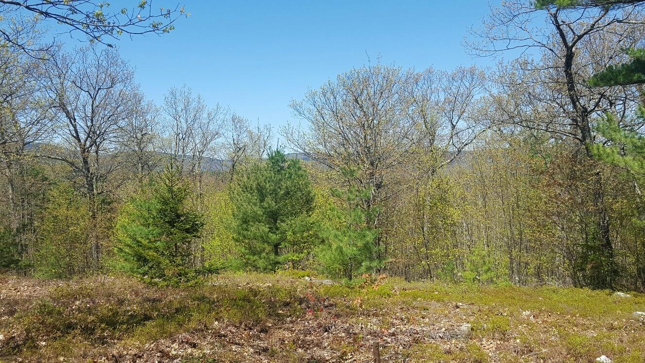 87 Stevens Road Stoneham, ME 04231 - Photo 16 of 19 januumstreeline
