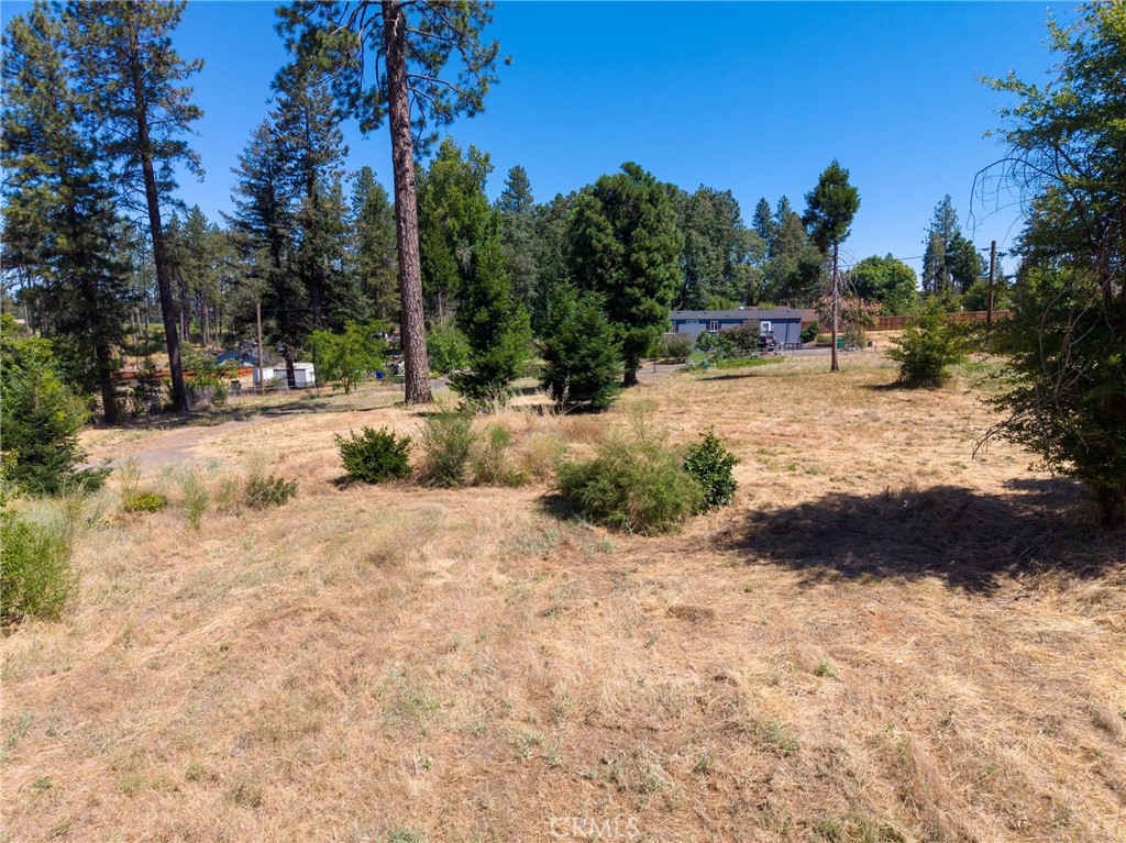 1368 Brill Road Paradise, CA 95969 - Photo 6 of 14