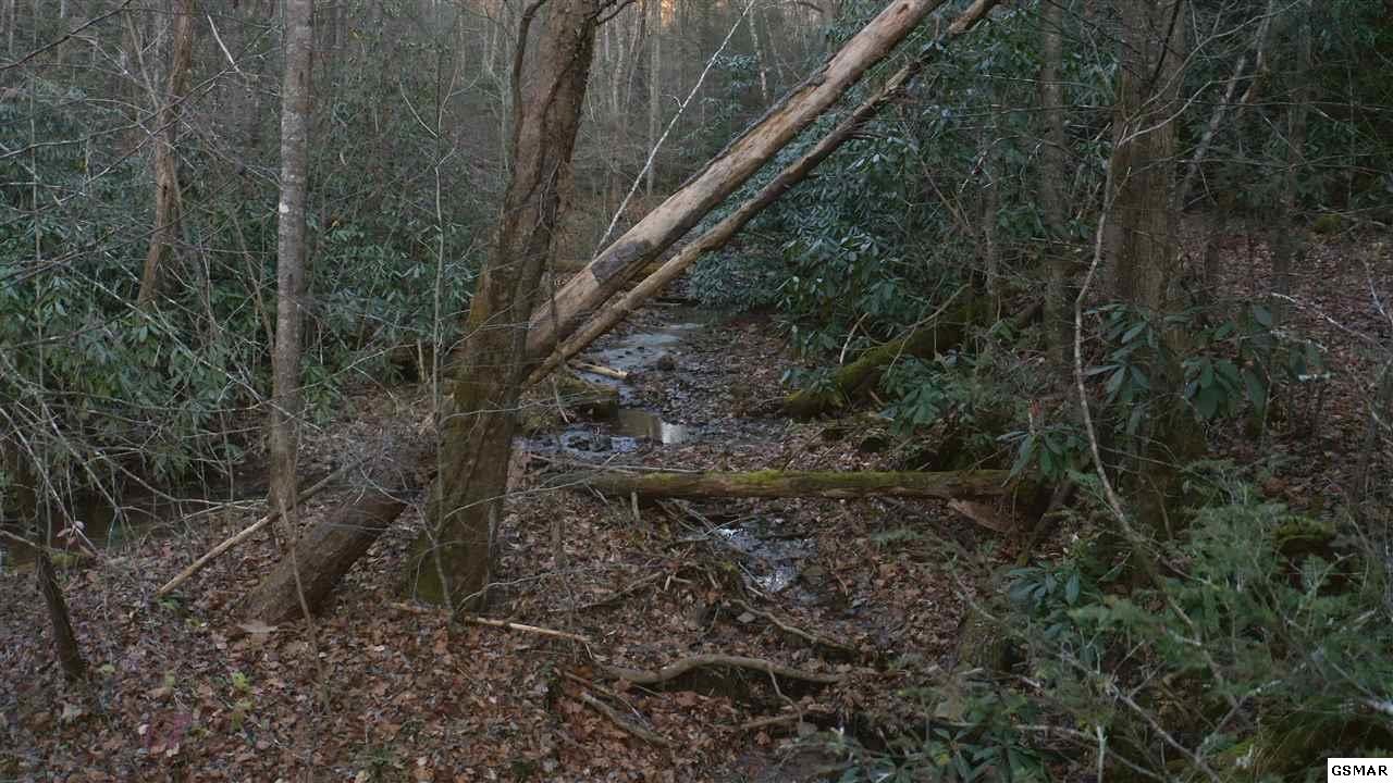 314 Hickey Road Sevierville, TN 37876 - Photo 14 of 36