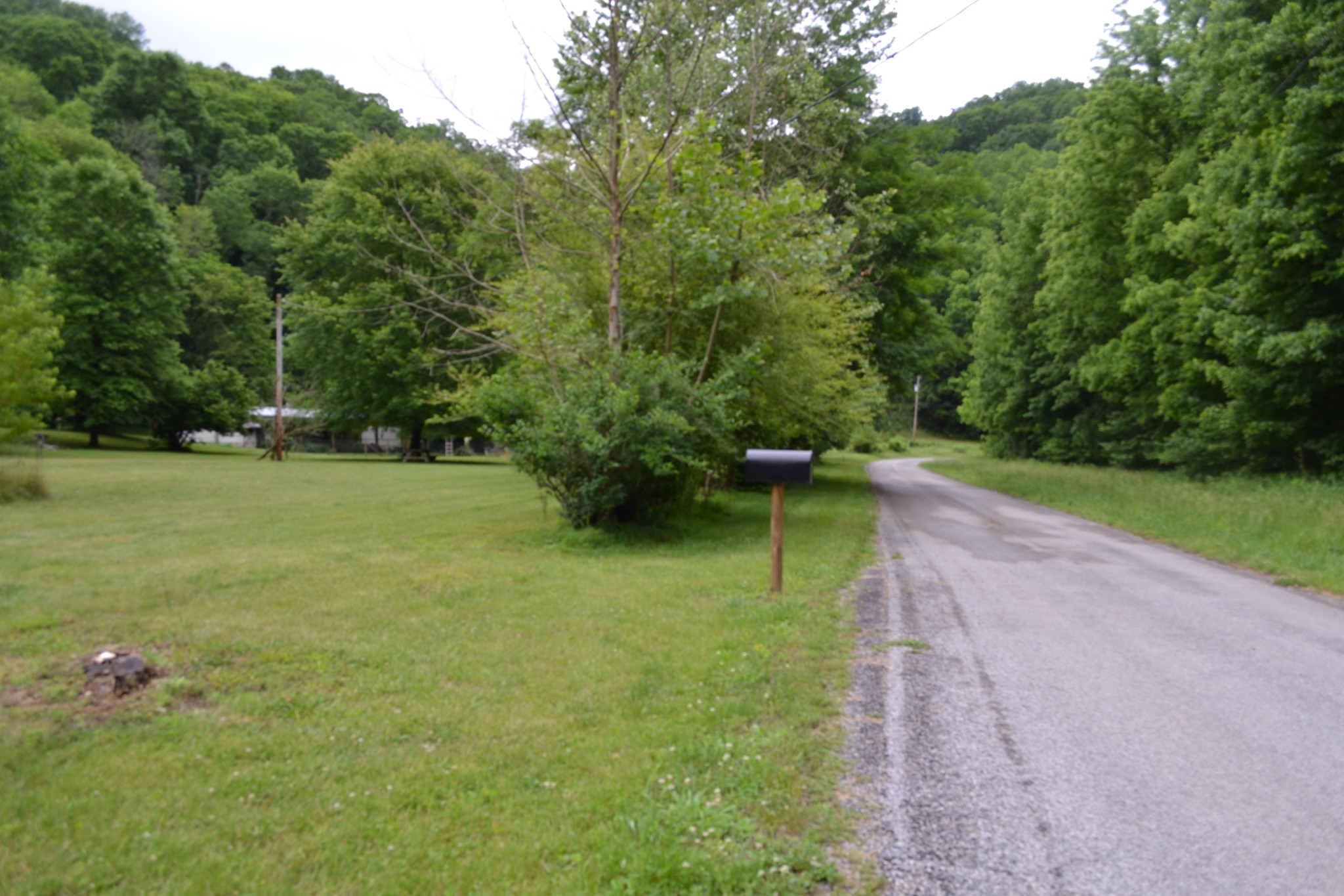 1505 Add Stafford Road Hilham, TN 38568 - Photo 58 of 65 a backyard of a house with lots of green space