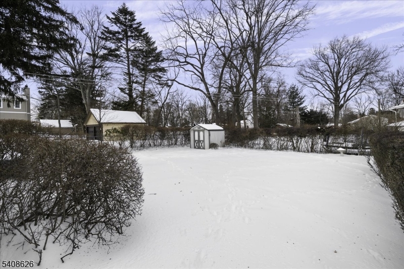 112 Union Street Cedar Grove, NJ 07009 - Photo 40 of 43 a view of outdoor space with trees