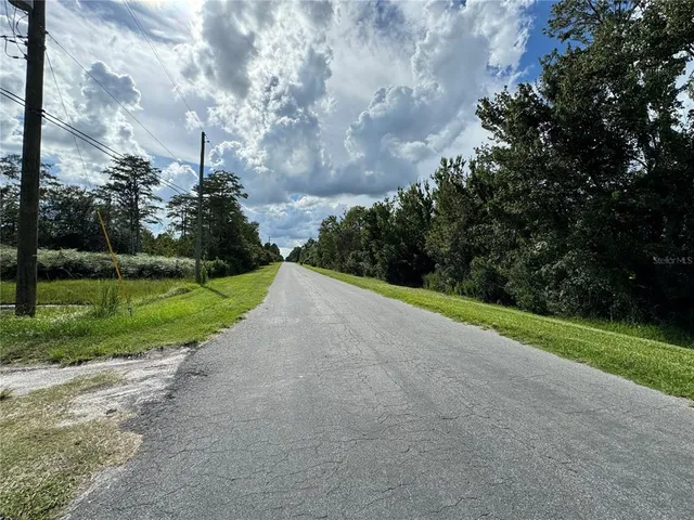 a view of a garden with a pathway