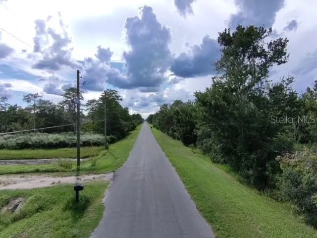 a view of a lot of trees