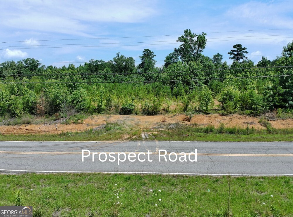 0 Prospect Road Nauvoo, AL 35578 - Photo 4 of 19