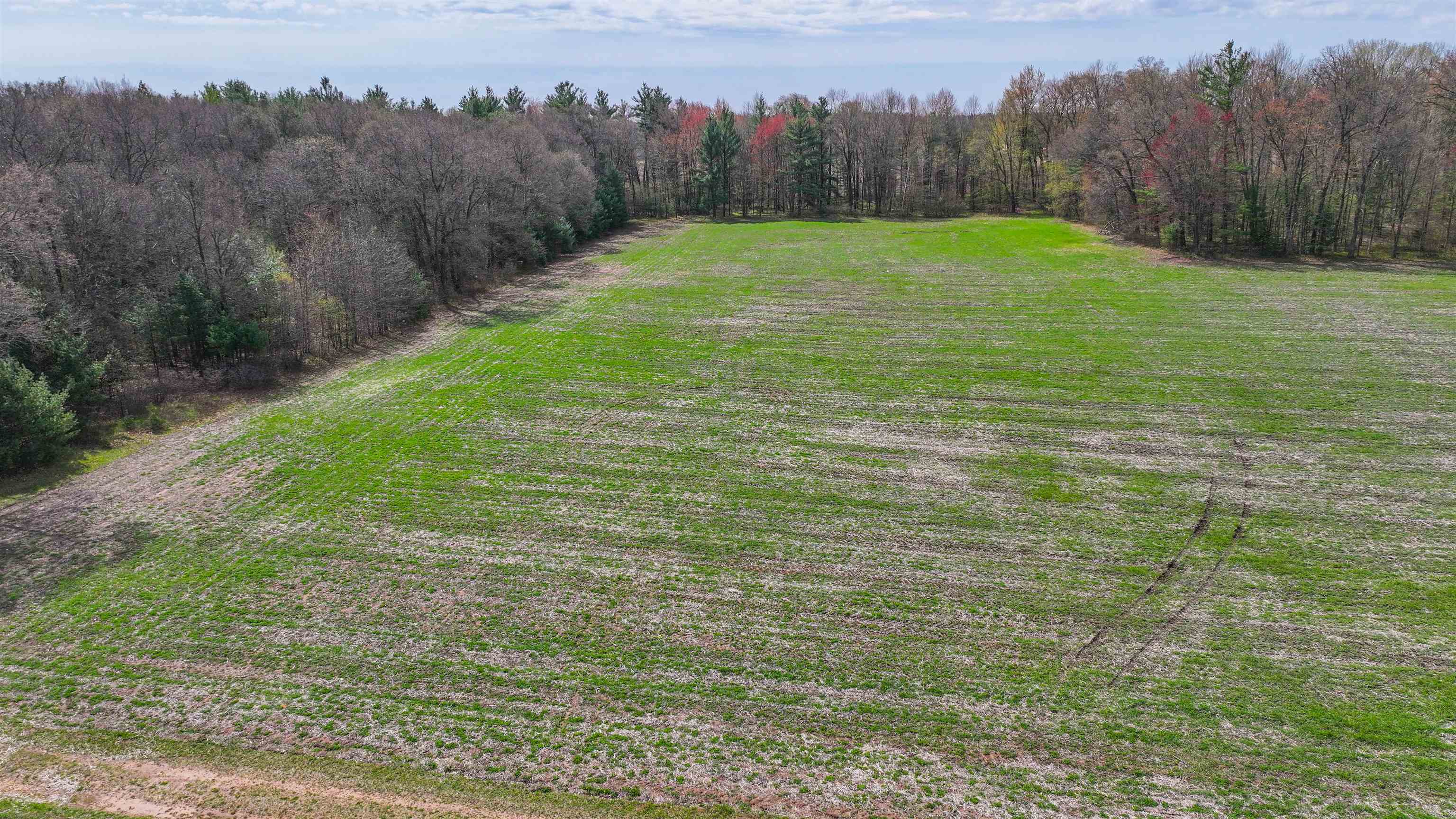 45.17-acres County Rd Y Custer, WI 54423 - Photo 11 of 18