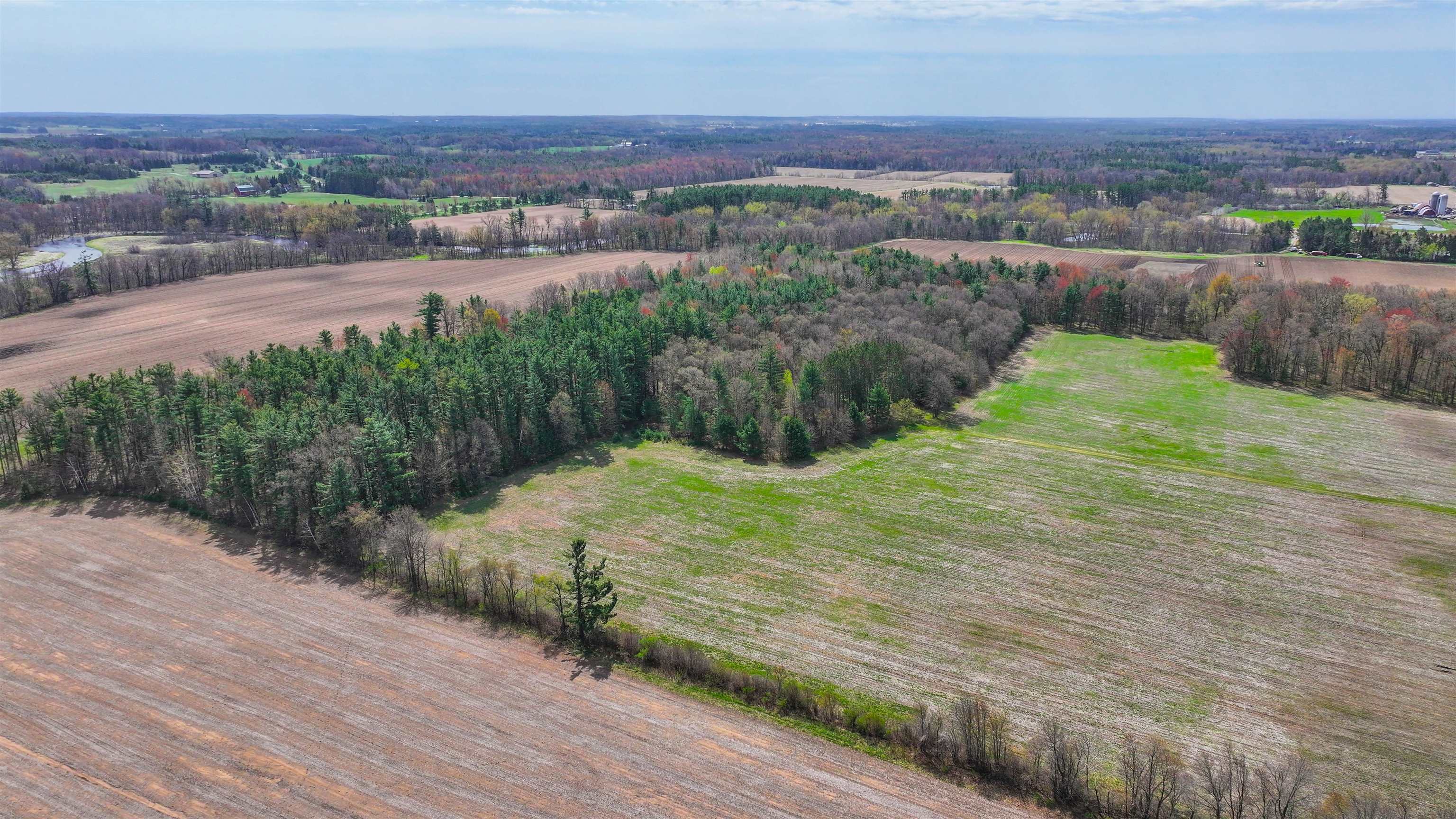 45.17-acres County Rd Y Custer, WI 54423 - Photo 13 of 18