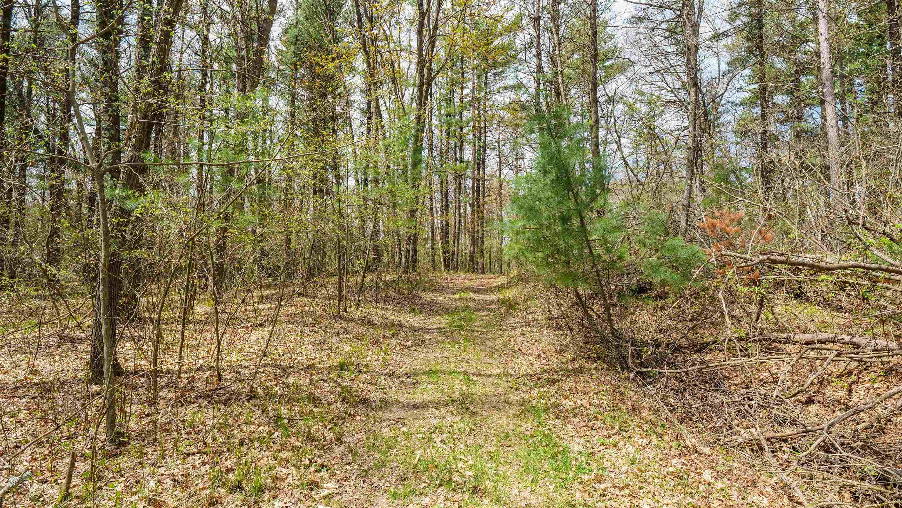 45.17-acres County Rd Y Custer, WI 54423 - Photo 18 of 18