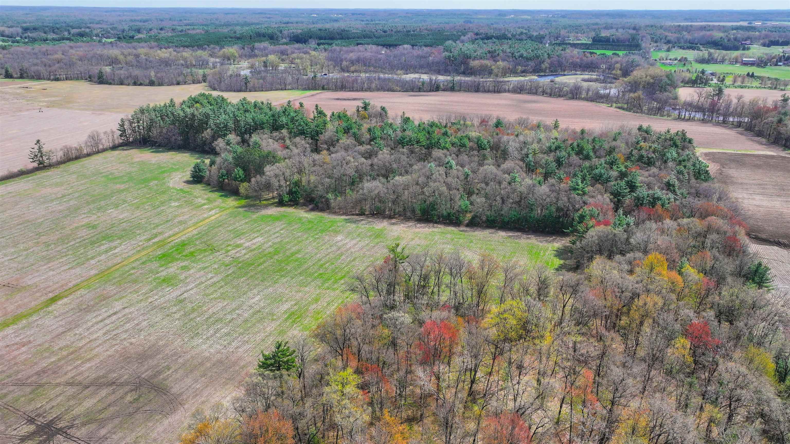 45.17-acres County Rd Y Custer, WI 54423 - Photo 5 of 18