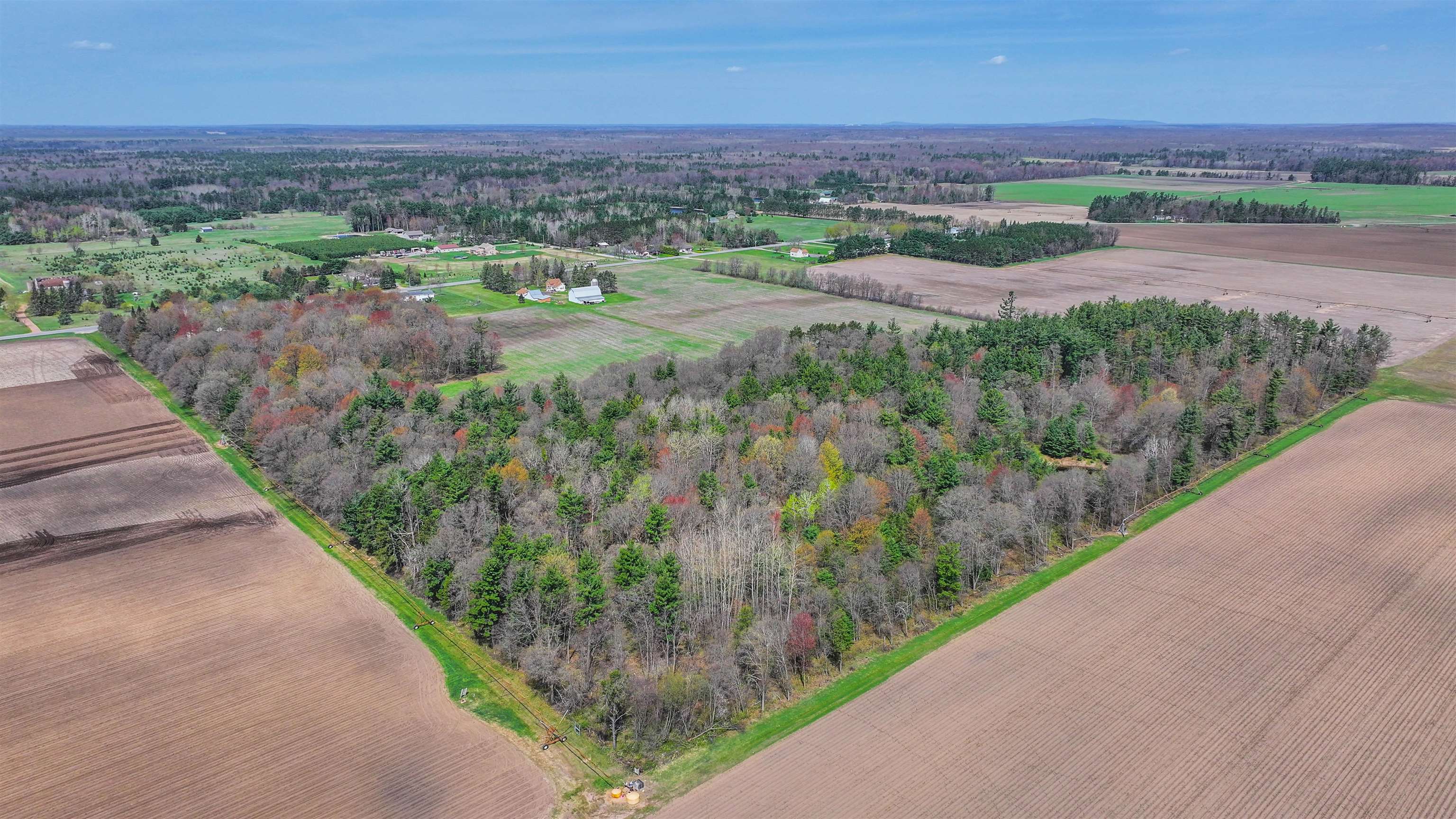 45.17-acres County Rd Y Custer, WI 54423 - Photo 6 of 18