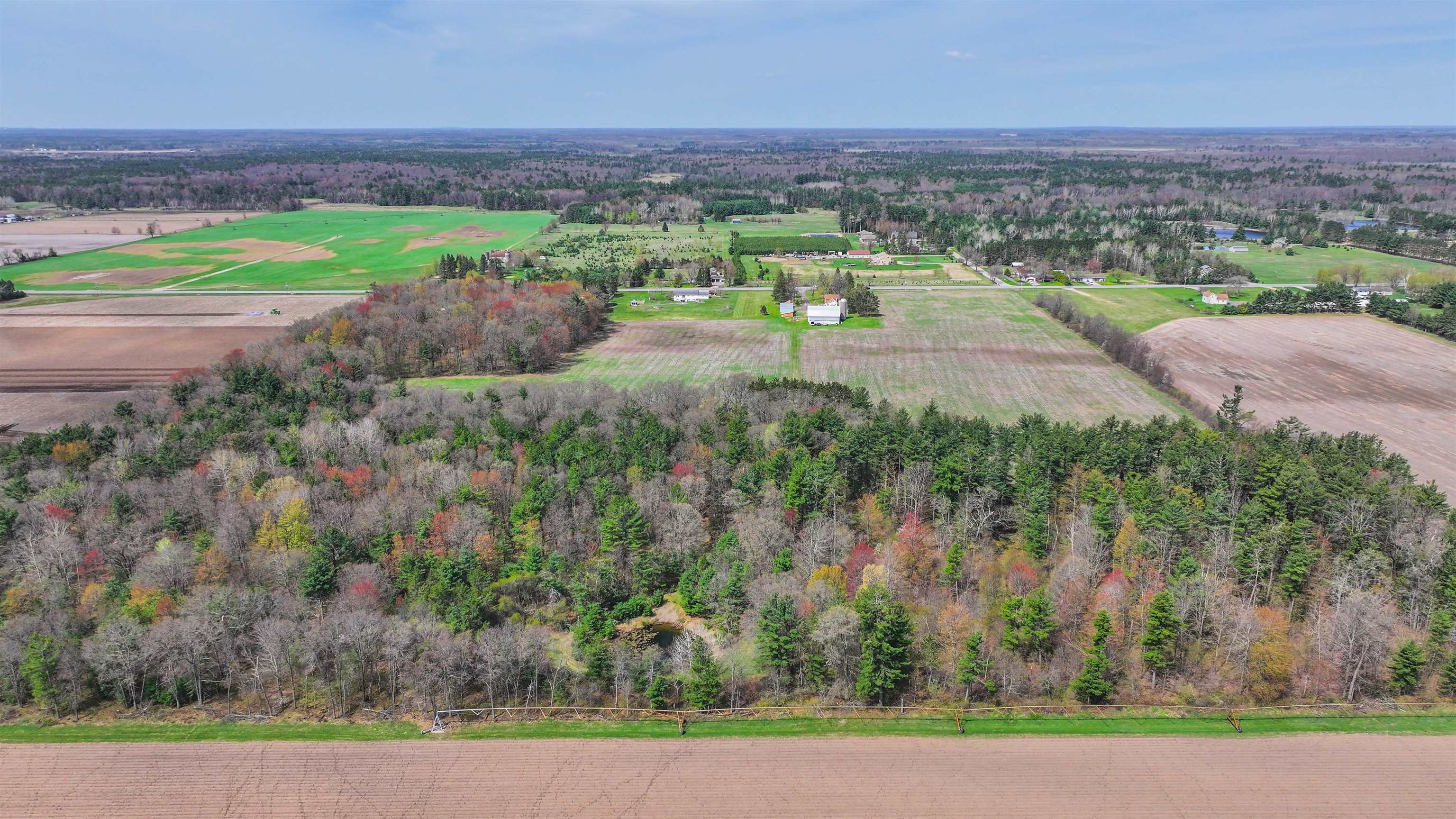 45.17-acres County Rd Y Custer, WI 54423 - Photo 7 of 18