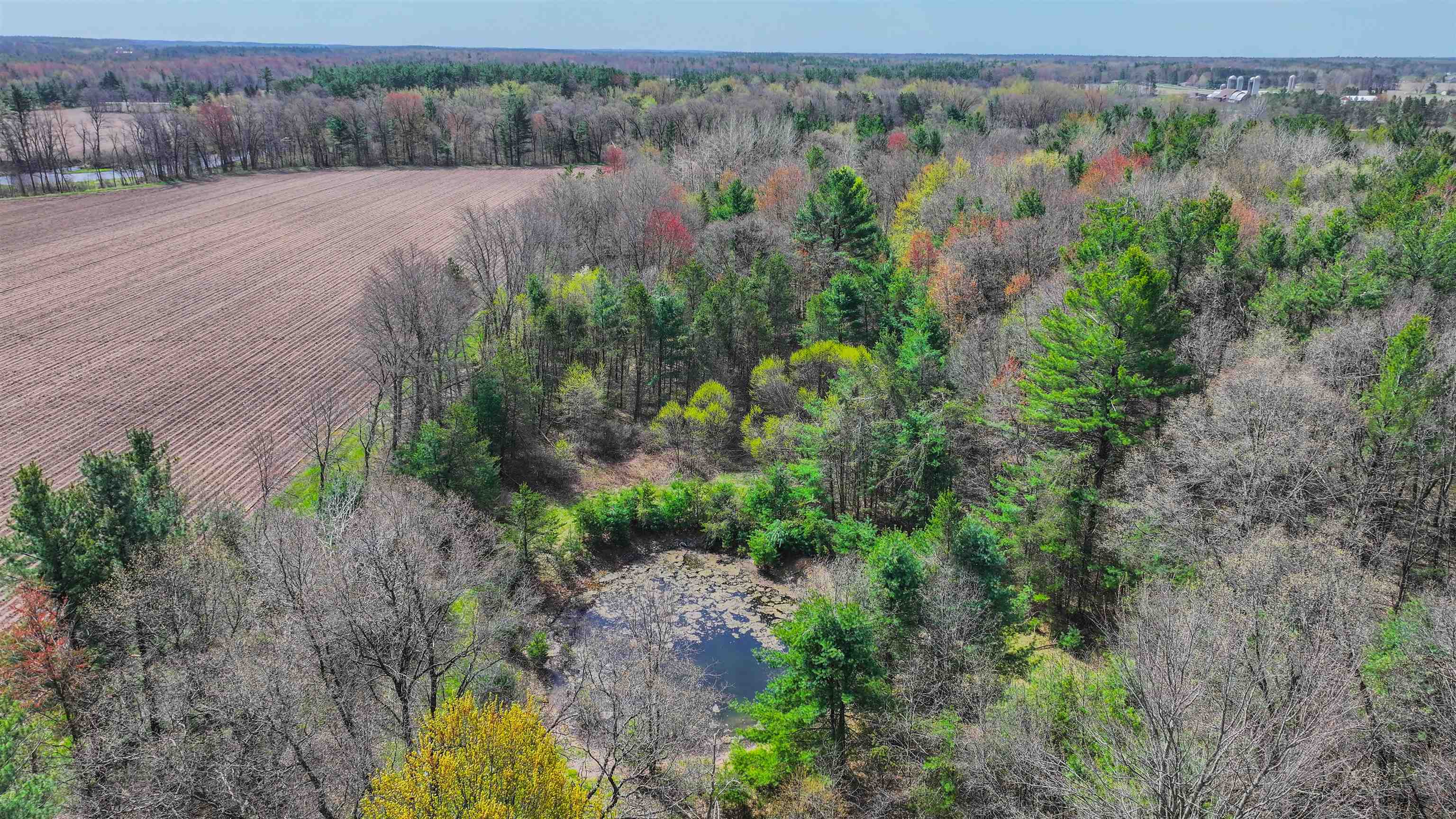 45.17-acres County Rd Y Custer, WI 54423 - Photo 10 of 18