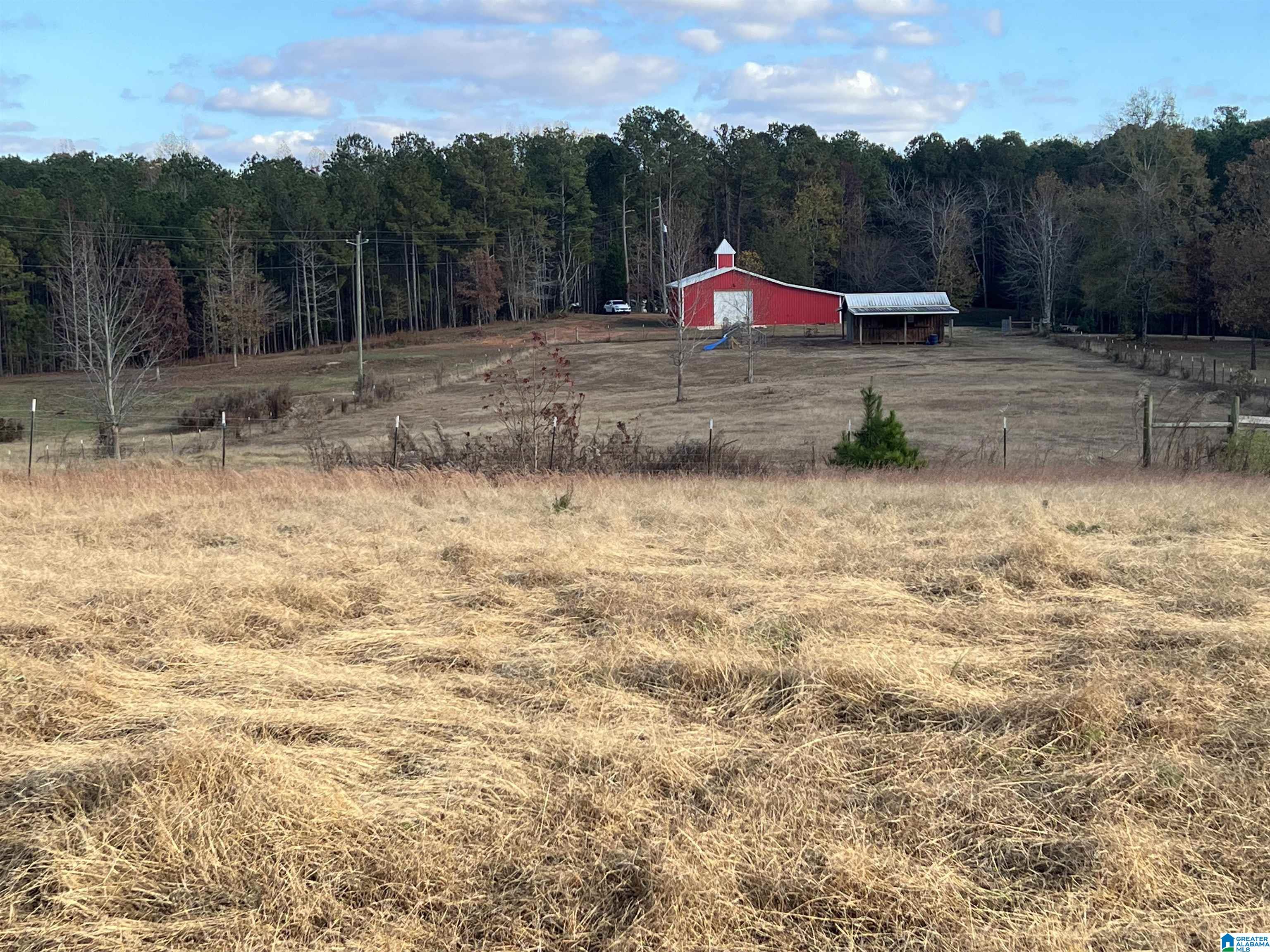 782 County Road 118 Heflin, AL 36264 - Photo 17 of 18