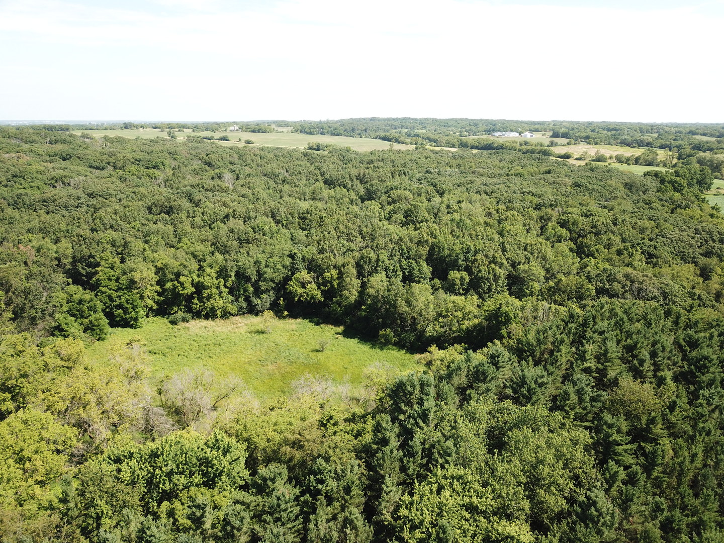 9999 Crowley Road Harvard, IL 60033 - Photo 2 of 5 a view of a green field with lots of bushes