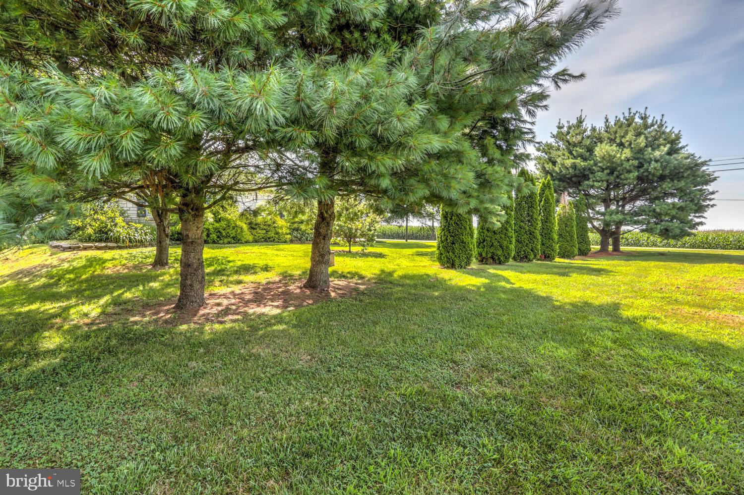 500 Shady Road Kirkwood, PA 17536 - Photo 13 of 15