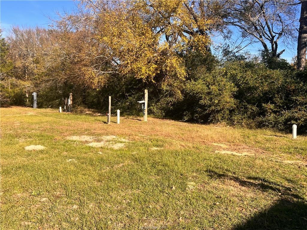6966 Highway 7 Jewett, TX 75846 - Photo 11 of 18 a view of yard with trees