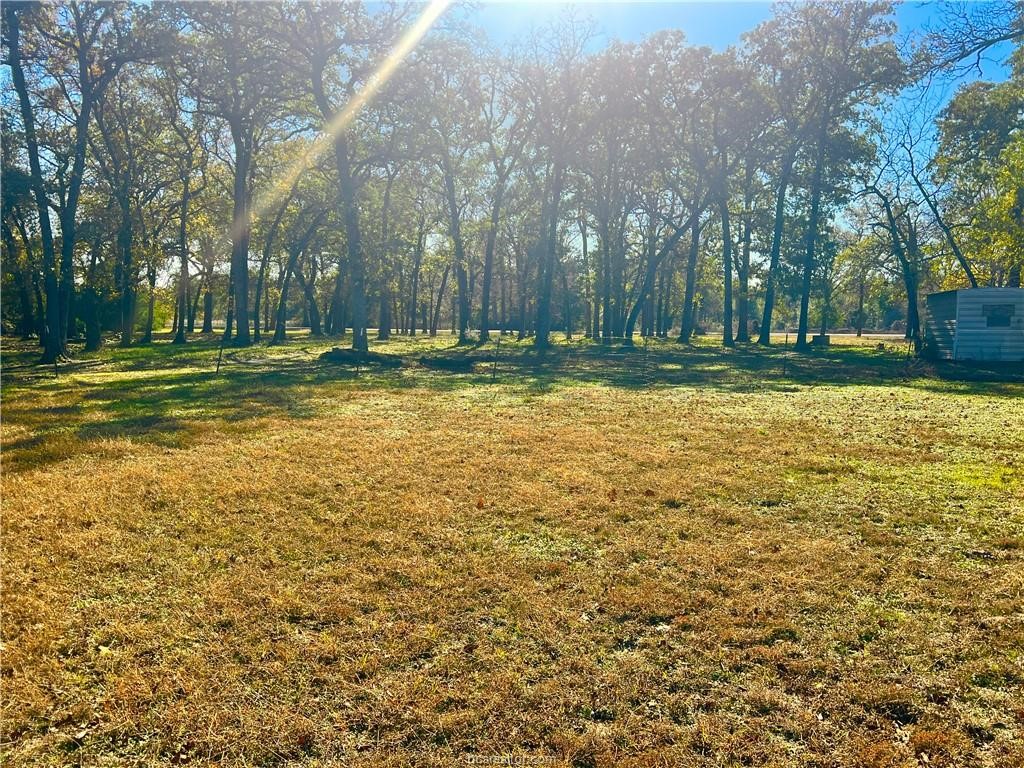 6966 Highway 7 Jewett, TX 75846 - Photo 18 of 18 a view of a yard with trees