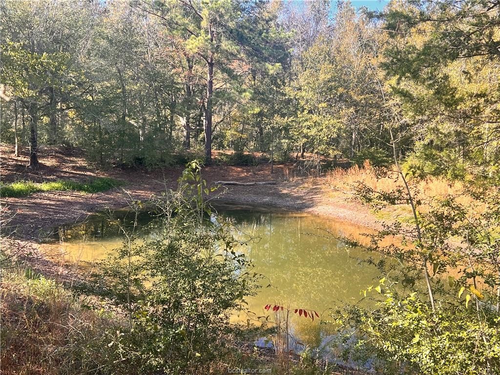 6966 Highway 7 Jewett, TX 75846 - Photo 7 of 18