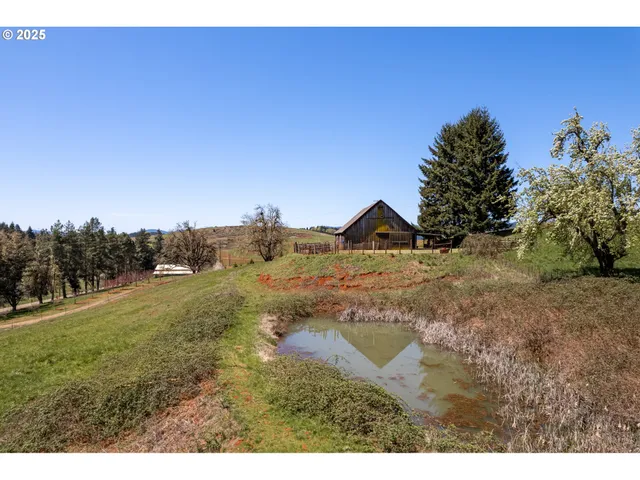 a view of a yard in front of the house