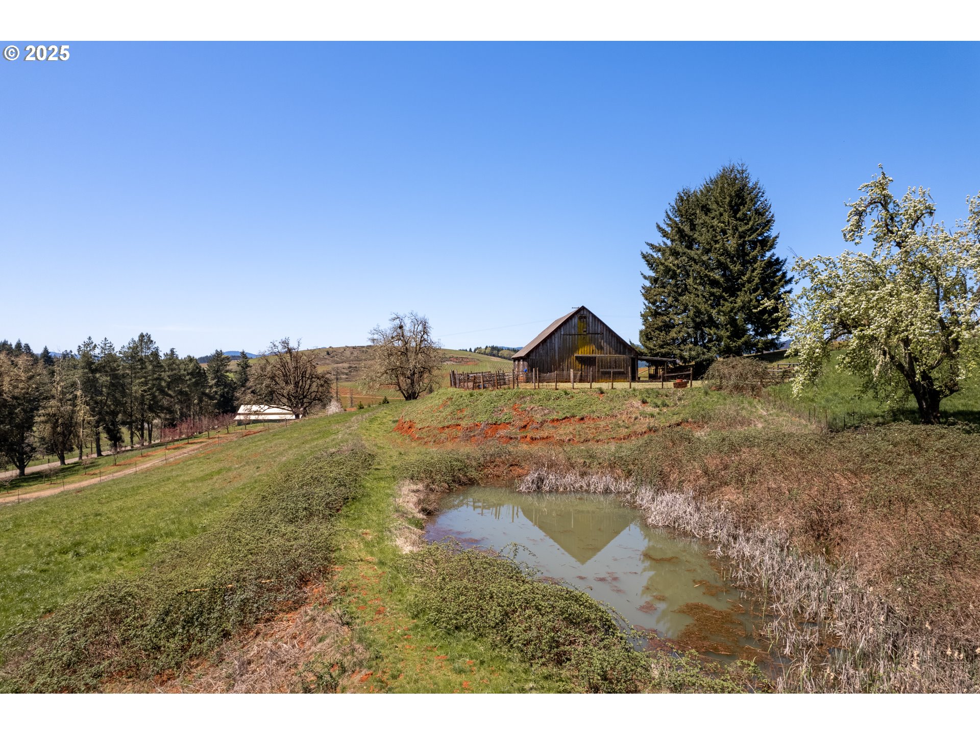 1488 Red Hill Road Oakland, OR 97462 - Photo 22 of 35 a view of a dry yard with trees