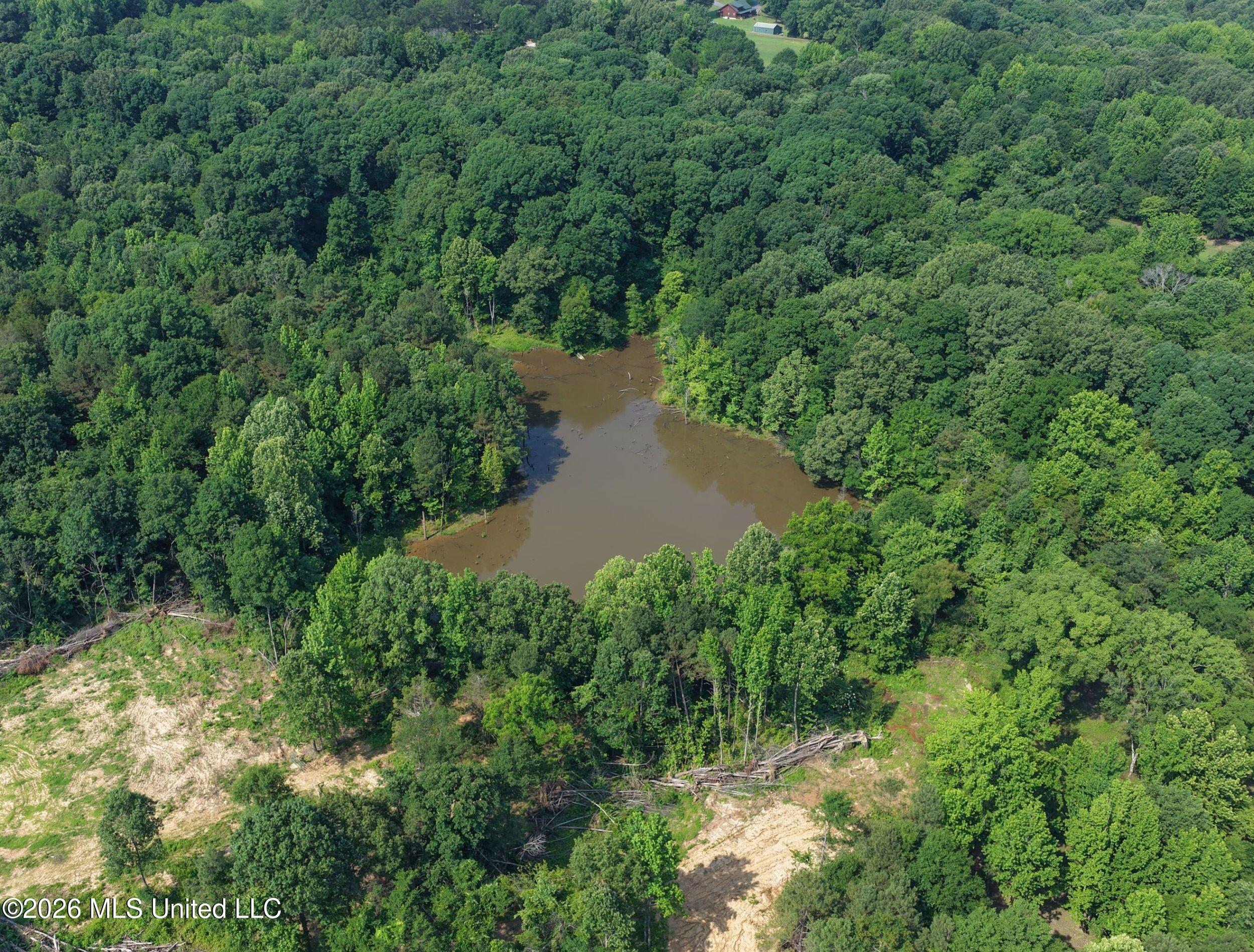 2169 Slocum Road Hernando, MS 38632 - Photo 18 of 94 5slcm9