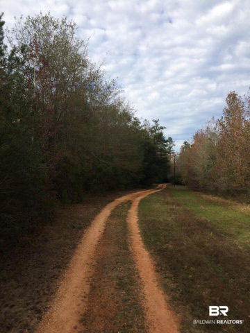 6102 Drewry Road Repton, AL 36475 - Photo 1 of 7