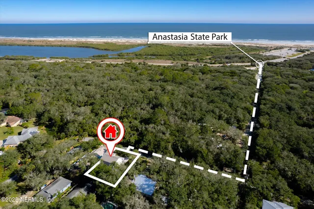 an aerial view of a forest