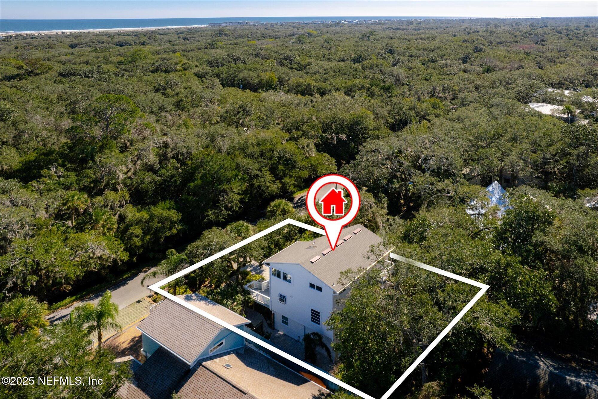 1685 Santander Street St. Augustine, FL 32080 - Photo 48 of 48 an aerial view of a forest