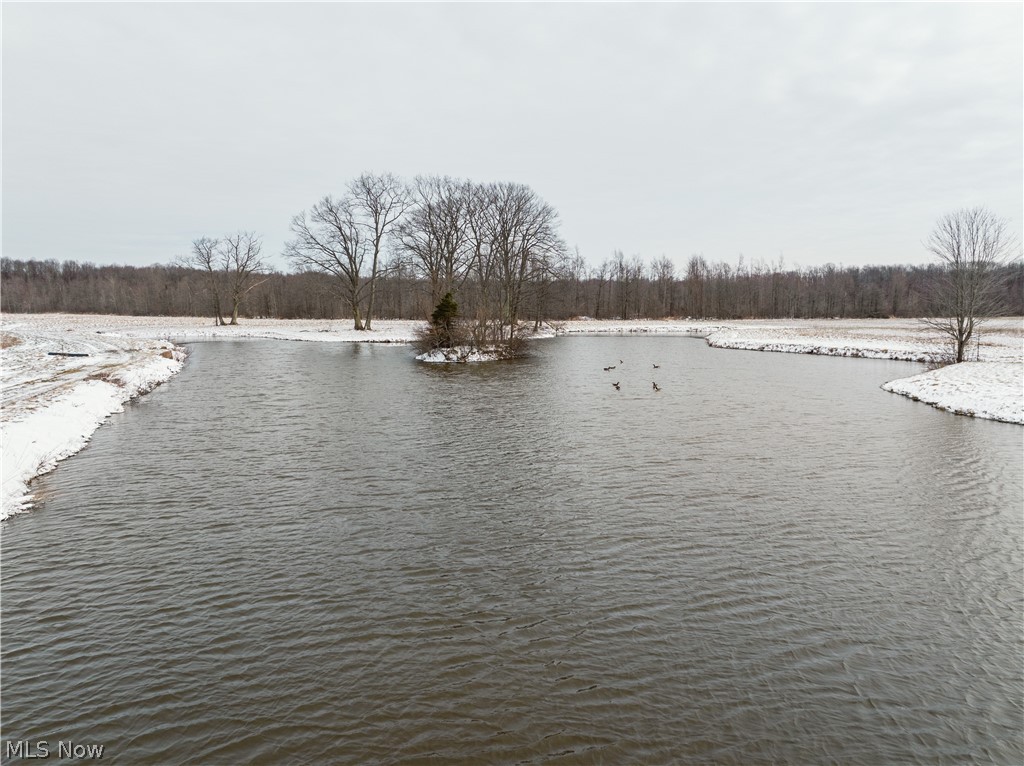 5329 Slater Road Williamsfield, OH 44093 - Photo 17 of 50