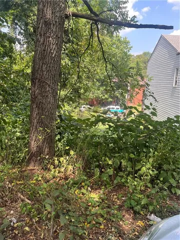 a backyard of a house with lots of green space