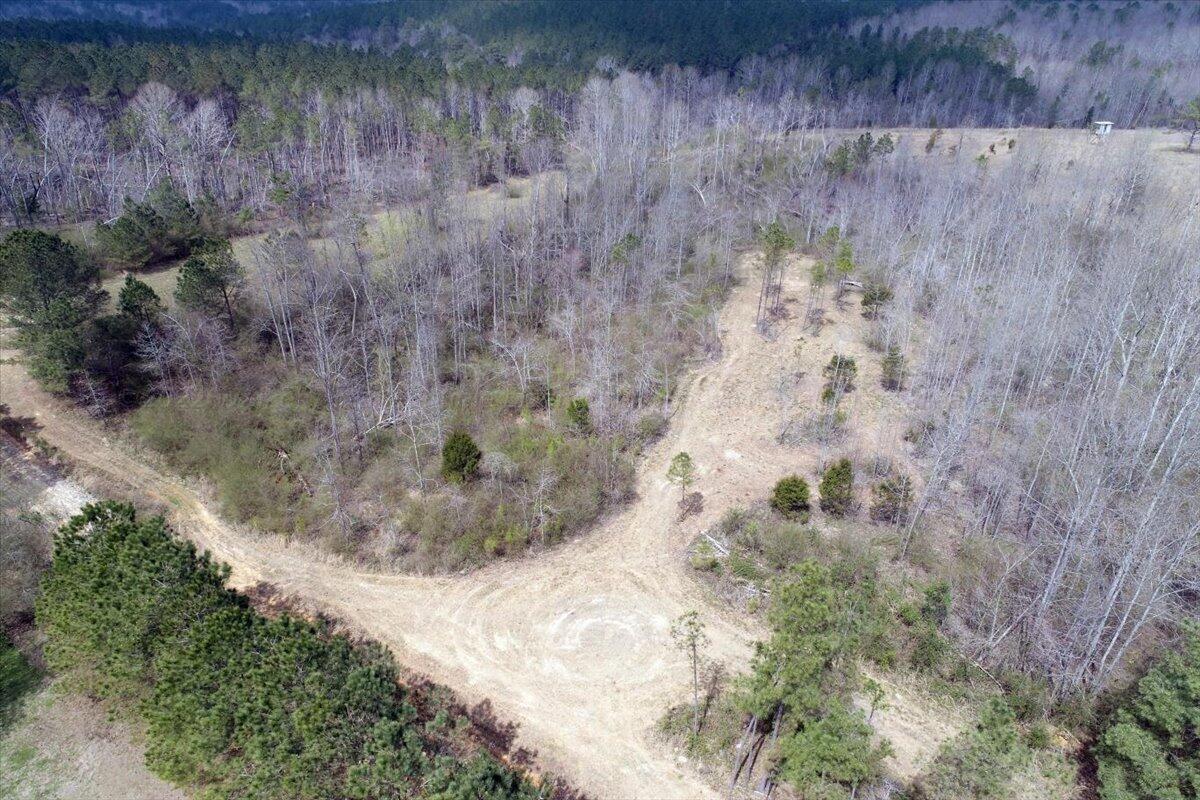 0 Co Road Vinemont, AL 35179 - Photo 14 of 28 Gallery Image 14