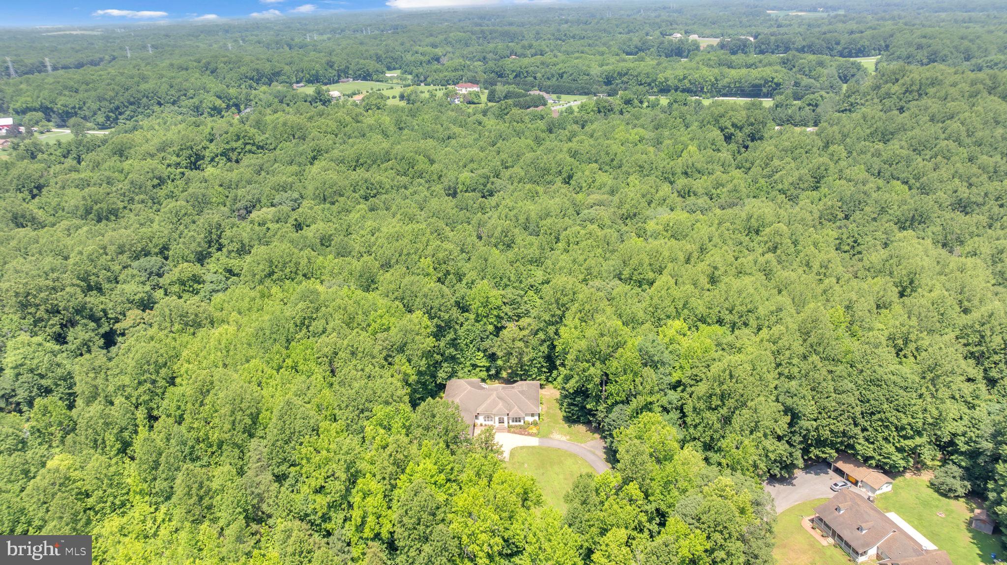 13716 Molly Berry Road Brandywine, MD 20613 - Photo 66 of 75 Home semi-secluded for extra privacy