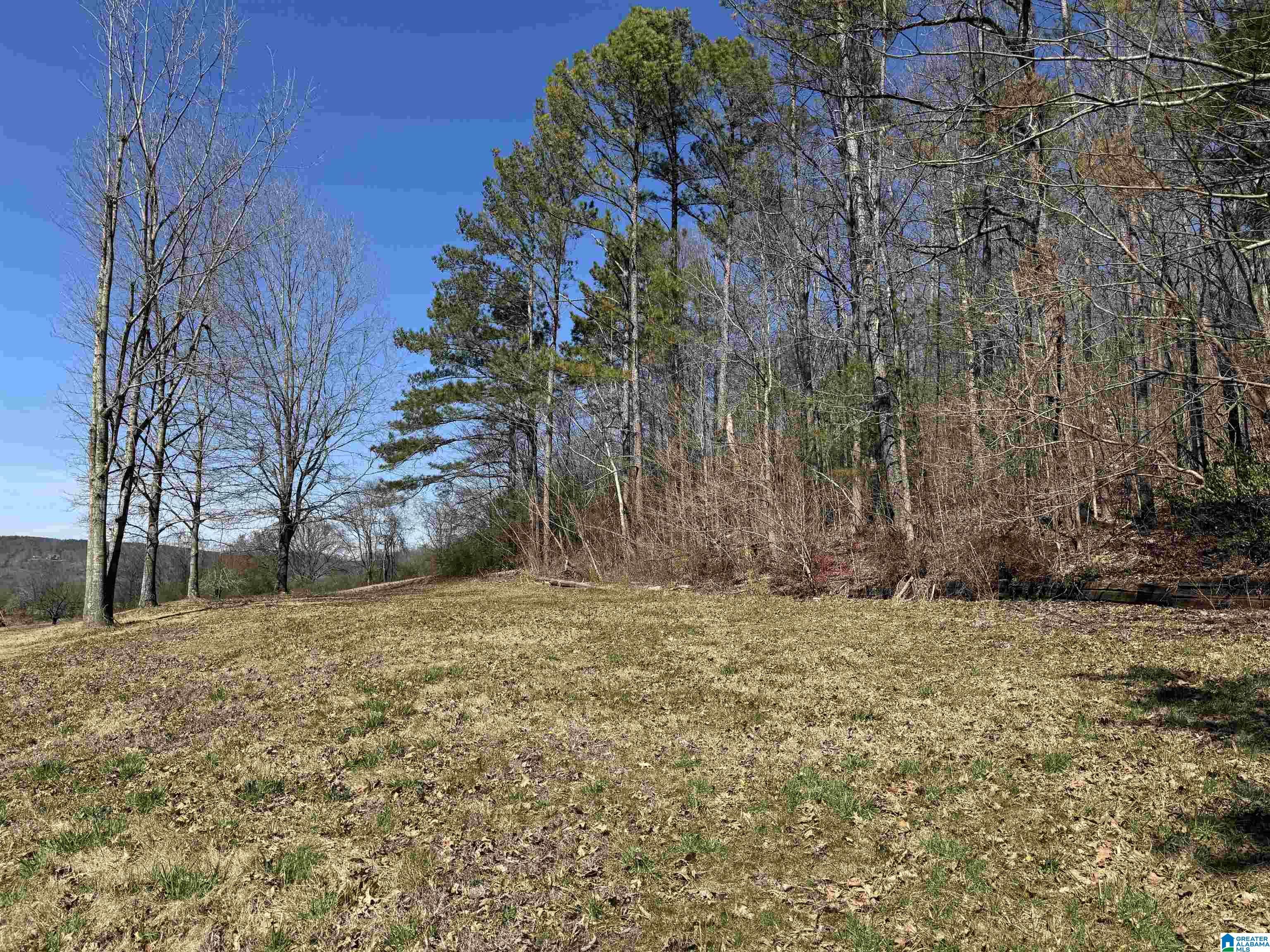 0 Rocky Hollow Road, Unit 3 00 Guntersville, AL 35976 - Photo 21 of 23