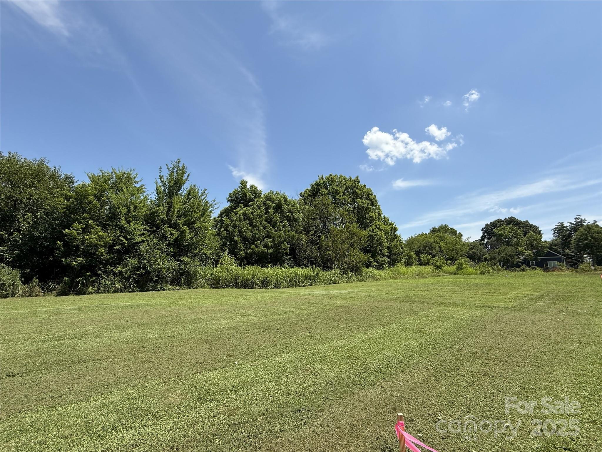 Lot 4-and West Elliot Street Chester, SC 29706 - Photo 2 of 5 a view of a big yard with potted plants and large tree