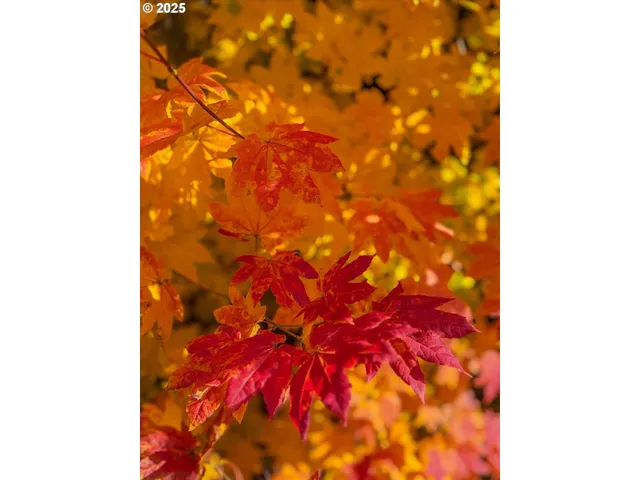 $535,943 | 185 Southwest Mawrcrest Avenue, Gresham, OR 97030