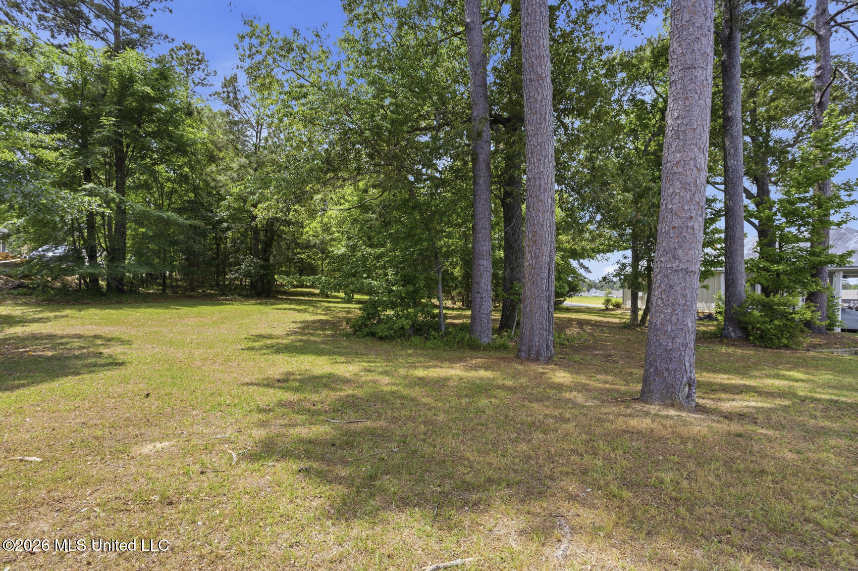 Lot A2-164 Lake Ridge Drive Madison, MS 39110 - Photo 17 of 19 Lot A2 Lake Ridge Drive Lake Caroline