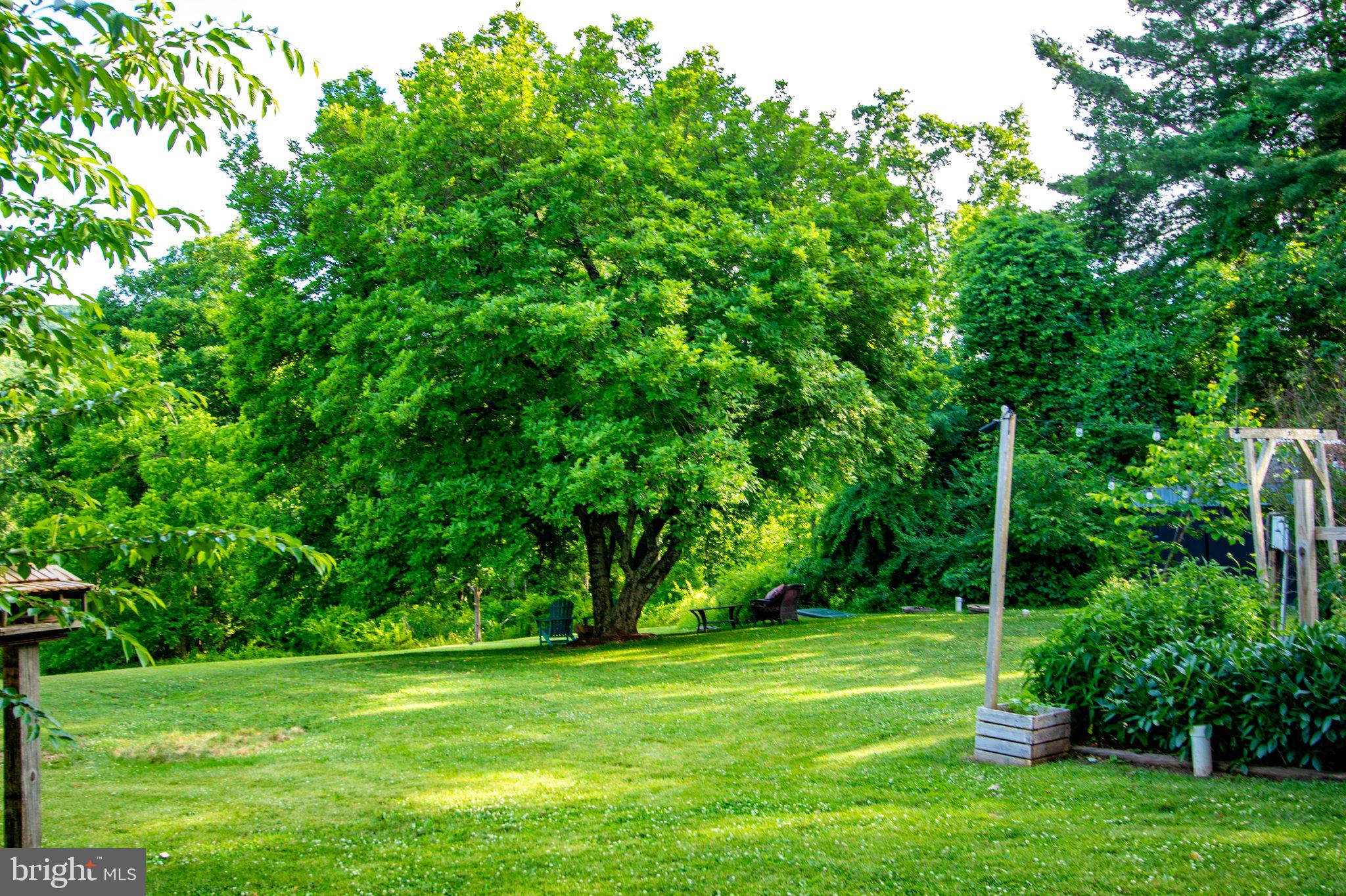 2056 Ridge Road Elverson, PA 19520 - Photo 75 of 89 Lush green oasis in serene surroundings.