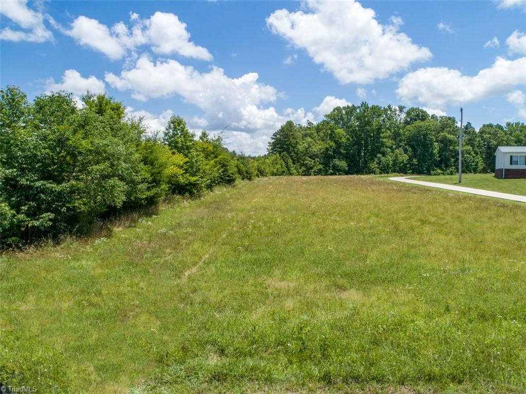 0 Black Road Salisbury, NC 28146 - Photo 3 of 9 Gallery Image 3