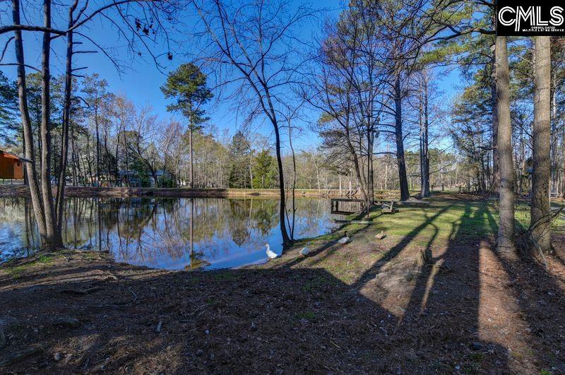 162 Baskin Hills Road Lexington, SC 29072 - Photo 13 of 58