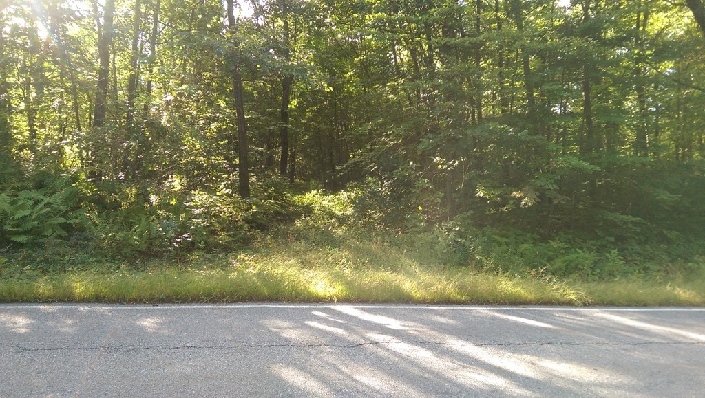 0 Brooks Station Road Princeton, MA 01541 - Photo 2 of 6 Gallery Image 2
