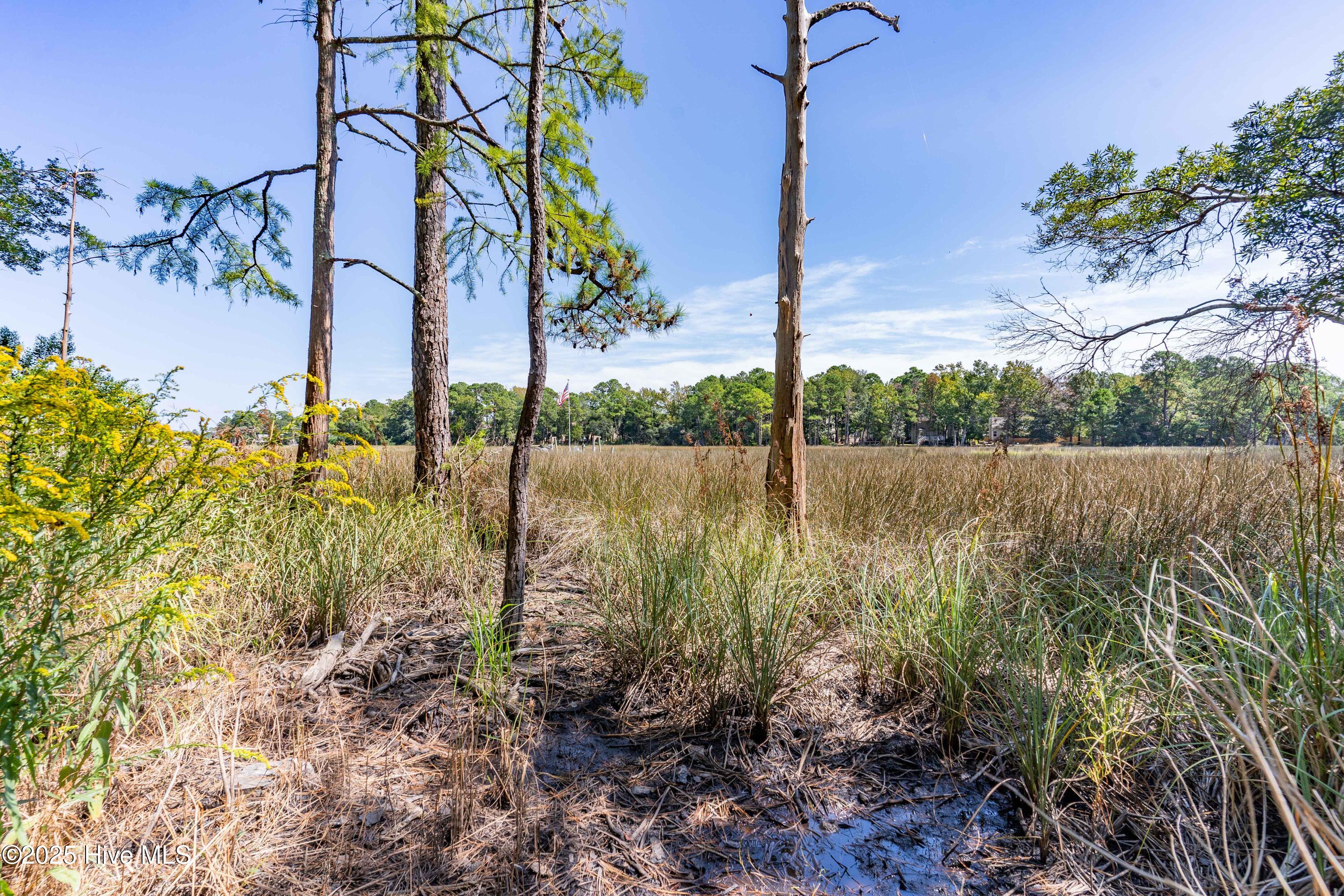 205 Quail Ridge Road Wilmington, NC 28409 - Photo 15 of 29 30_205 quail ridge rd-00031